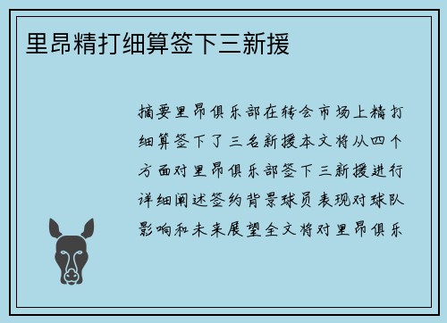 里昂精打细算签下三新援